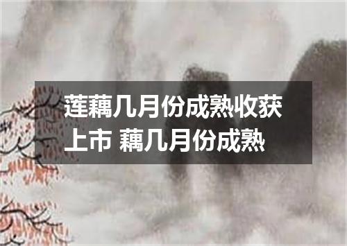 莲藕几月份成熟收获上市 藕几月份成熟