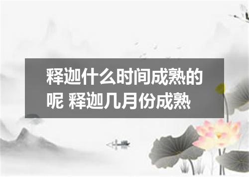 释迦什么时间成熟的呢 释迦几月份成熟