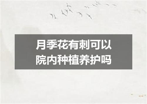 月季花有刺可以院内种植养护吗