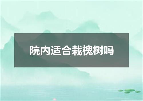 院内适合栽槐树吗