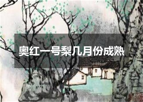 奥红一号梨几月份成熟