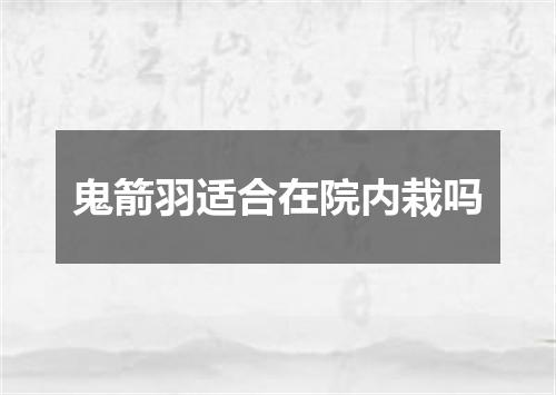 鬼箭羽适合在院内栽吗