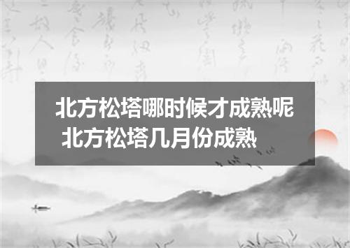北方松塔哪时候才成熟呢 北方松塔几月份成熟