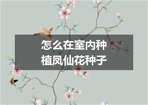 怎么在室内种植凤仙花种子