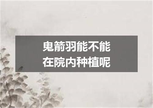 鬼箭羽能不能在院内种植呢