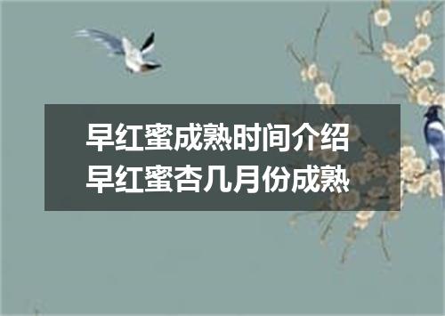 早红蜜成熟时间介绍 早红蜜杏几月份成熟