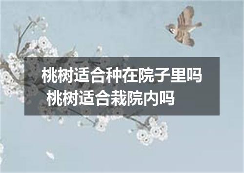 桃树适合种在院子里吗 桃树适合栽院内吗