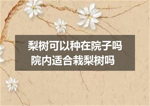 梨树可以种在院子吗 院内适合栽梨树吗