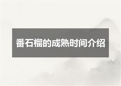 番石榴的成熟时间介绍