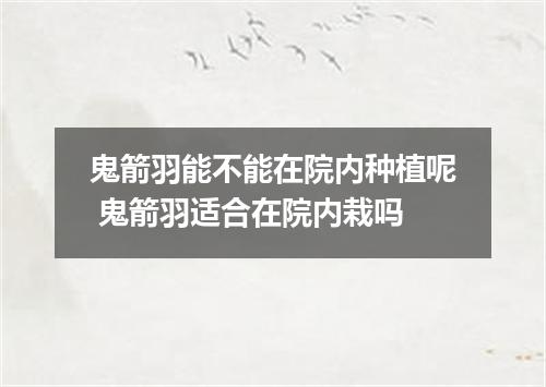 鬼箭羽能不能在院内种植呢 鬼箭羽适合在院内栽吗