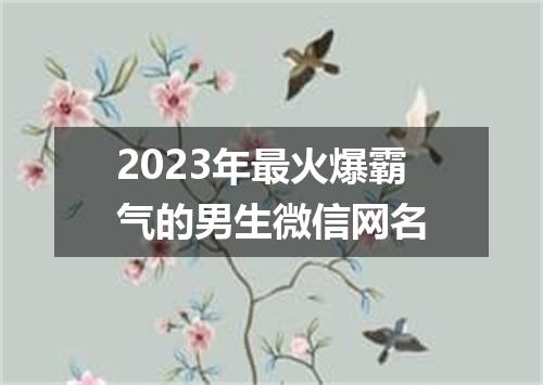 2023年最火爆霸气的男生微信网名