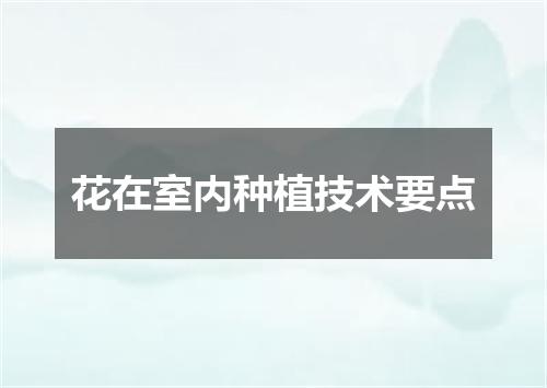 花在室内种植技术要点