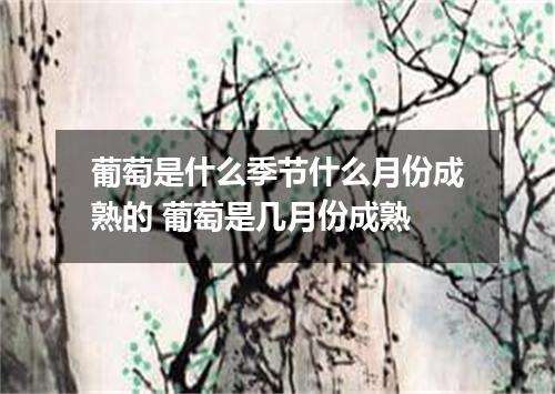 葡萄是什么季节什么月份成熟的 葡萄是几月份成熟