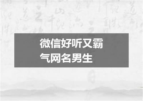 微信好听又霸气网名男生