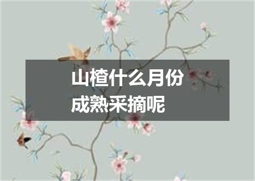 山楂什么月份成熟采摘呢