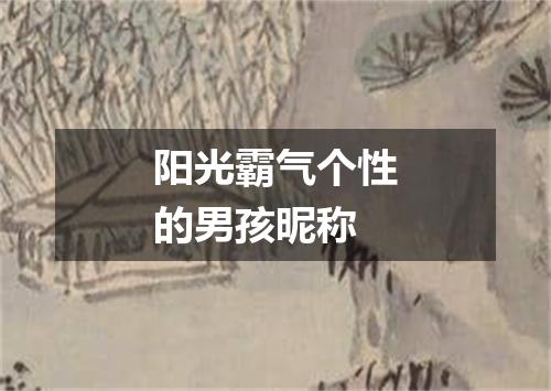 阳光霸气个性的男孩昵称