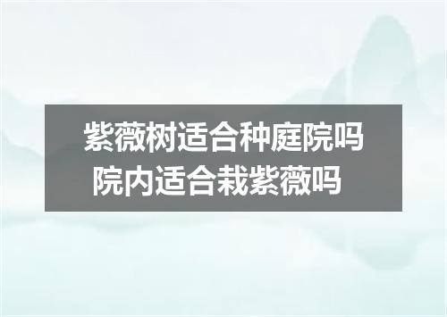 紫薇树适合种庭院吗 院内适合栽紫薇吗