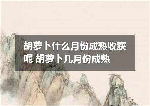 胡萝卜什么月份成熟收获呢 胡萝卜几月份成熟