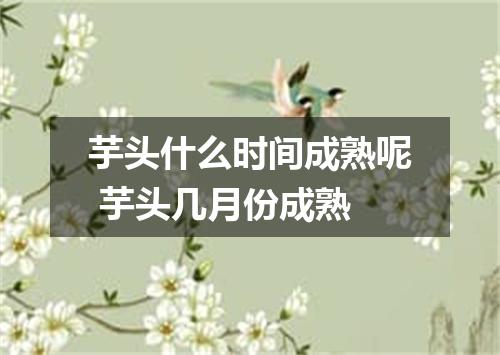 芋头什么时间成熟呢 芋头几月份成熟