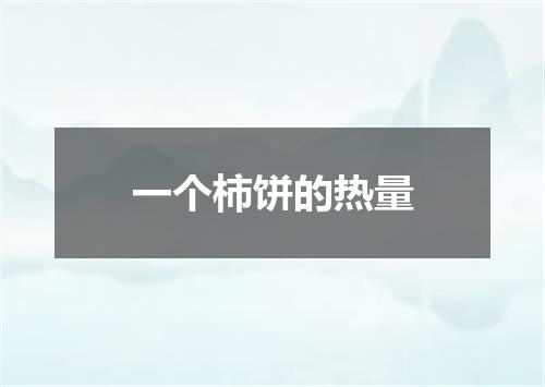 一个柿饼的热量