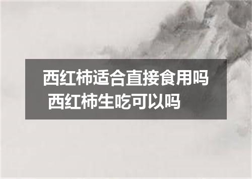 西红柿适合直接食用吗 西红柿生吃可以吗