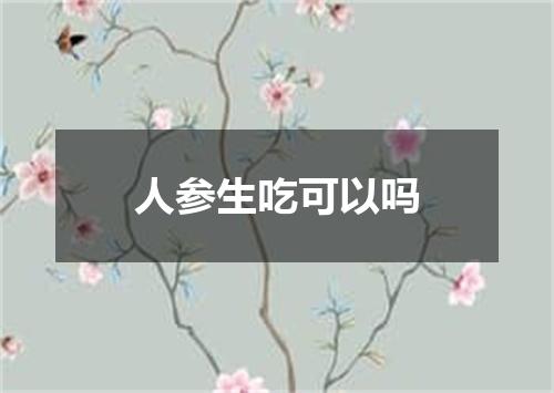 人参生吃可以吗