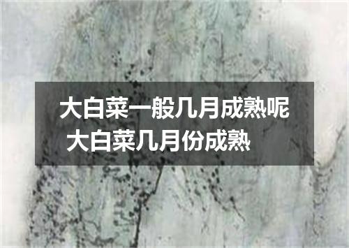 大白菜一般几月成熟呢 大白菜几月份成熟