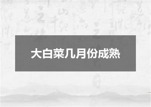 大白菜几月份成熟