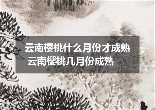 云南樱桃什么月份才成熟 云南樱桃几月份成熟