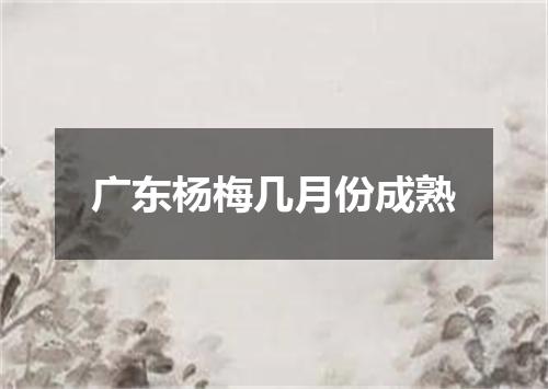 广东杨梅几月份成熟