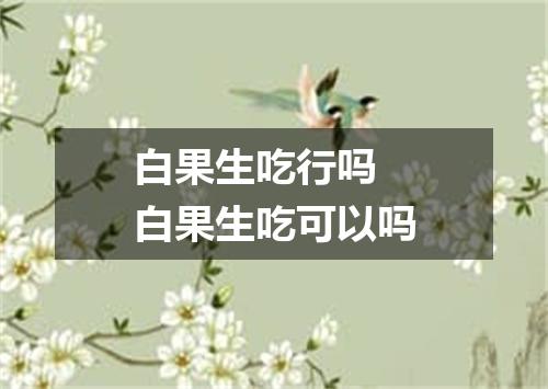 白果生吃行吗 白果生吃可以吗