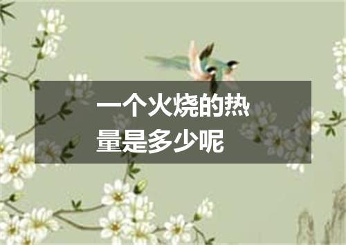 一个火烧的热量是多少呢