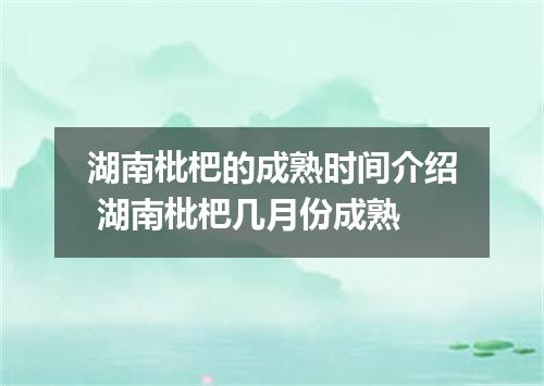 湖南枇杷的成熟时间介绍 湖南枇杷几月份成熟