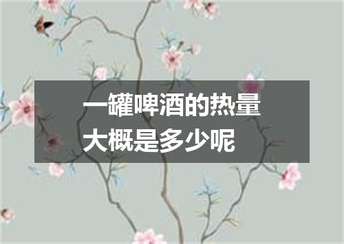 一罐啤酒的热量大概是多少呢