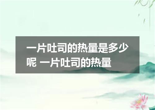 一片吐司的热量是多少呢 一片吐司的热量