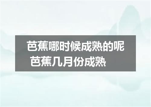 芭蕉哪时候成熟的呢 芭蕉几月份成熟