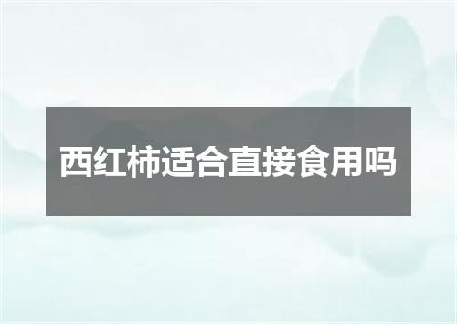 西红柿适合直接食用吗