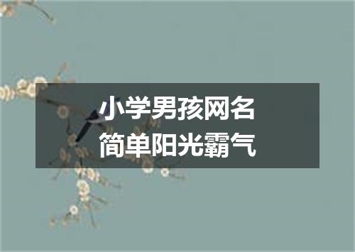 小学男孩网名简单阳光霸气
