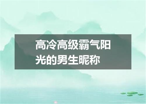 高冷高级霸气阳光的男生昵称