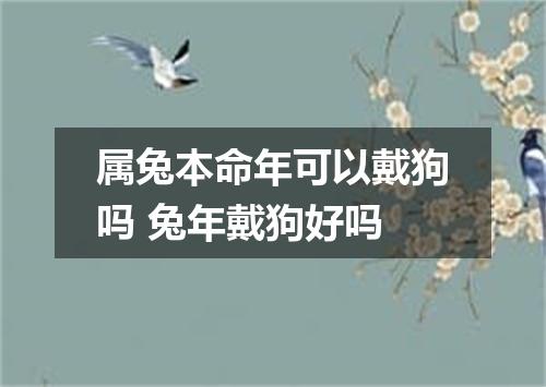 属兔本命年可以戴狗吗 兔年戴狗好吗