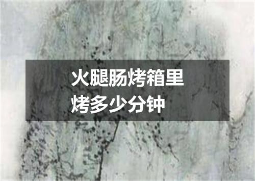 火腿肠烤箱里烤多少分钟