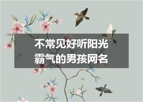 不常见好听阳光霸气的男孩网名