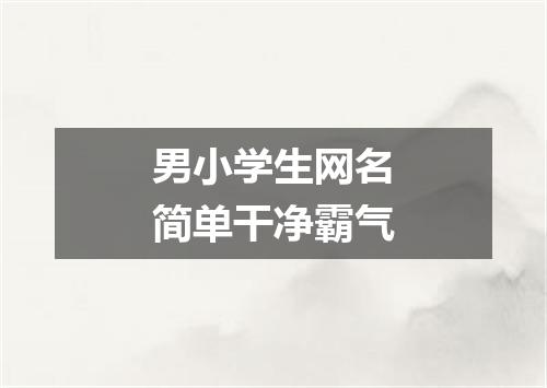 男小学生网名简单干净霸气