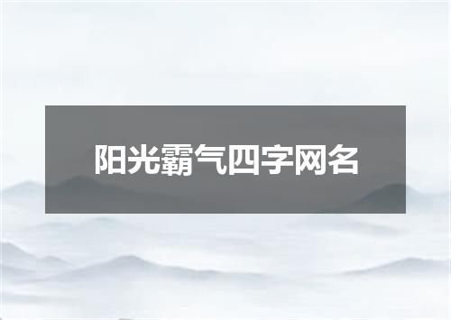 阳光霸气四字网名