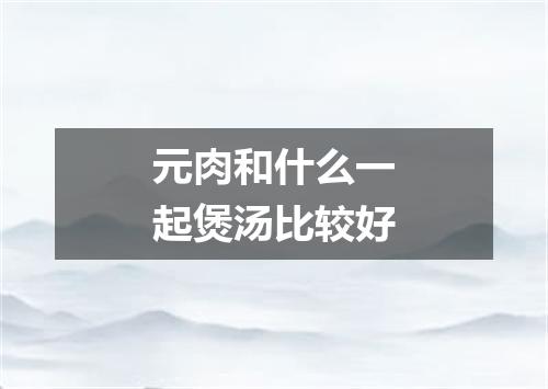 元肉和什么一起煲汤比较好