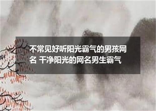 不常见好听阳光霸气的男孩网名 干净阳光的网名男生霸气