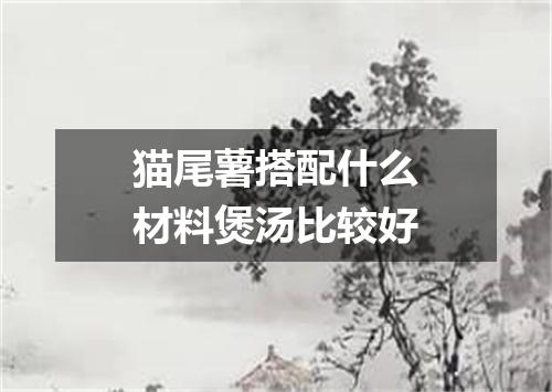 猫尾薯搭配什么材料煲汤比较好