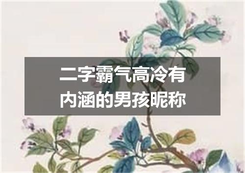 二字霸气高冷有内涵的男孩昵称