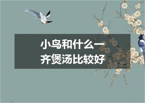 小鸟和什么一齐煲汤比较好