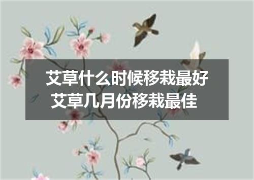 艾草什么时候移栽最好 艾草几月份移栽最佳